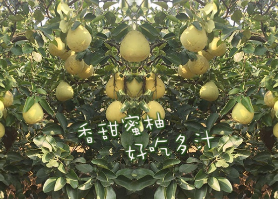 踏上綠意的小徑！賞秀麗山巒，嚐時令鮮果